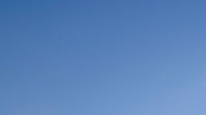 Disfruta de Ghouls & Gourds en el Brooklyn Botanic Garden /Cortesía.