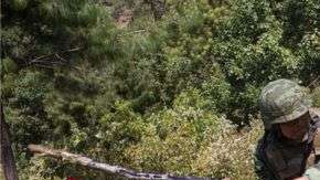 Sembradíos de amapola. Getty