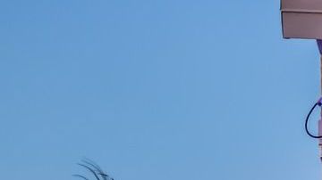 Lo que parecía un elemento decorativo en realidad era verdadero.