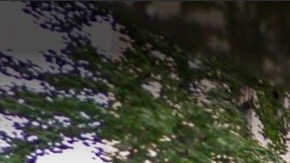 The Carlyle se ubica en Madison Ave con calle 76