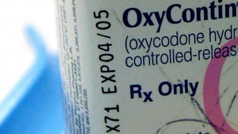 Muchos adictos a  la oxicodona han muerto por sobredosis.