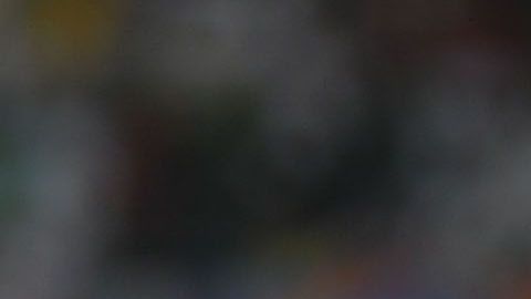 Javier "Chicharito" Hernández vive en plenitud un gran romance