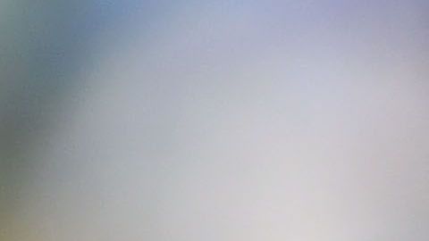 Javier "Chicharito" Hernández dice que Sarah Kohan no es su novia