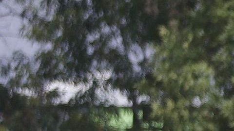 El club América tuvo un día de entrenamiento distinto a los demás