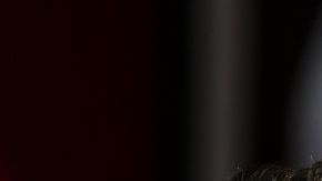 Diego Cocca, fue cesado como director técnico de Xolos de Tijuana. (Foto: Imago7/ Alejandro Gutiérrez Mora)