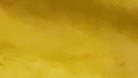 El activista de la organización Sin Fronteras, Irineo Mújica