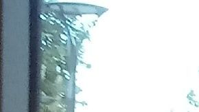 Arianna Arroyo, de 13 años, tenía el cabello tan largo que logró donar 23 pulgadas de su cabello./ foto: Alejandro Cano