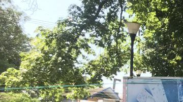 Campamento de migrantes de la caravana. Gardenia Mendoza