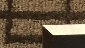 Las medallas de oro obtenidas por El Diario NY.