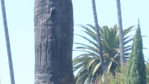 Cientos acudieron a deleitarse del festival por el Día de Muertos. / fotos: Jorge Luis Macías.