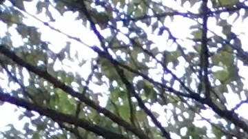 Dubai Furniture, en Jamaica (Queens) una de las tiendas de la cadena de muebles demandada por DCA./EDLP