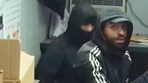 Los ladrones en plena acción