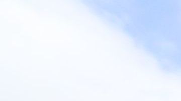 Algunos de los jóvenes detenidos en el Centro Horizon en El Bronx serían liberados gracias al plan.