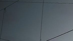 Al tomarse la foto, resbaló y el tren le pasó por encima.