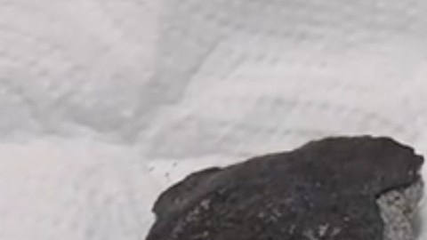El meteorito cabe en la palma de la mano.