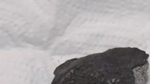 El meteorito cabe en la palma de la mano.