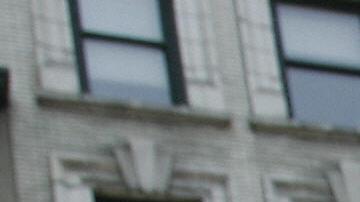 Ms Colombia siempre estaba acompañada de sus ‘coloridas’ mascotas.