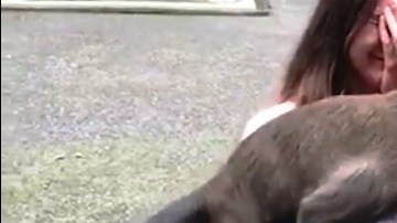 Los primates en plena acción