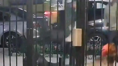Parte de la trifulca cuerpo a cuerpo