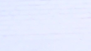 Pilotworks ha cerrado la  cocina industrial que operaba en una antigua factoría de la farmacéutica Pfizer en Brooklyn.