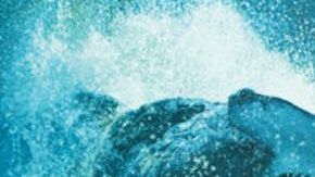 Pirates of the Caribbean