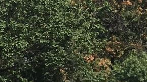 Plataforma 'Fix the subway' en la protesta de el martes. Foto: Twitter @katieholten