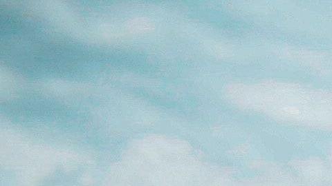 El color de tu auto habla muchos acerca de tu personalidad