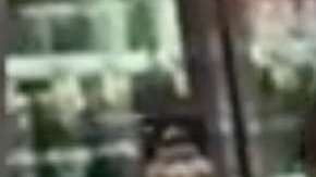 Le pide matrimonio con su helado favorito.