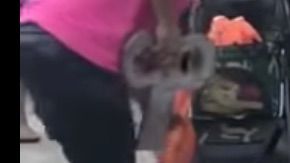 Disfraz de Halloween para perros.