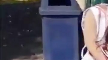 El disfraz de decapitada. Captura