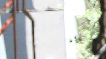 Sergio Mayer, diputado de Morena.