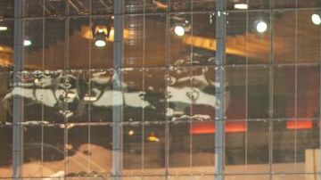 shutterstock_1028810026