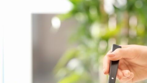 shutterstock_1070434448