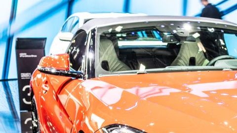 shutterstock_1196176705