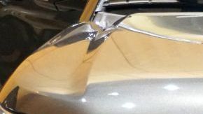 shutterstock_1197347566