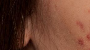 shutterstock_1197534583