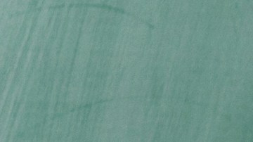 shutterstock_141309475