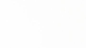 El hombre creyó que su pareja era igual a una actriz de un video XXX.