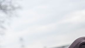 shutterstock_407487469