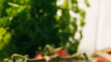 shutterstock_553985692