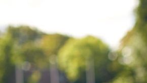 shutterstock_573831886