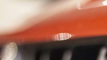 shutterstock_591937157