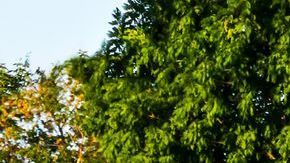 shutterstock_717777697