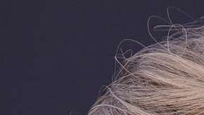 Taylor Swift y Donald Trump