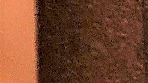 USCIS busca que los inmigrantes apliquen por cualquier beneficio desde la página web.