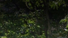 Secundaria W. H. Maxwell