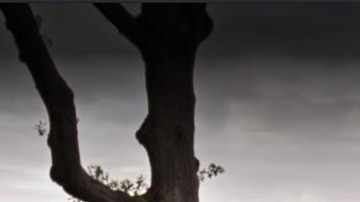 World´s Fair Marina, en Flushing