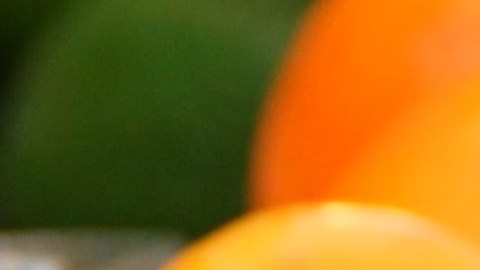 frutas