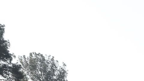 Puedes compensar al aire libre por el cambio de hora en otoño.