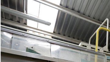 La producción masiva de aguacates podría ser responsable de sequías.